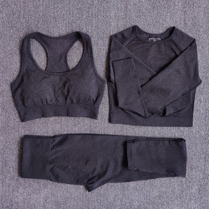 Women Seamless Yoga Set Fitness Sports Suits Gym Clothing