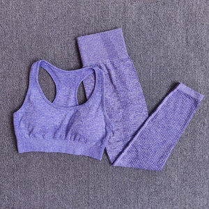 Women Seamless Yoga Set Fitness Sports Suits Gym Clothing