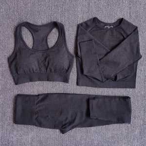 Women Seamless Yoga Set Fitness Sports Suits Gym Clothing